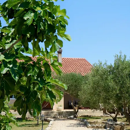 Ivana Holiday home Srima